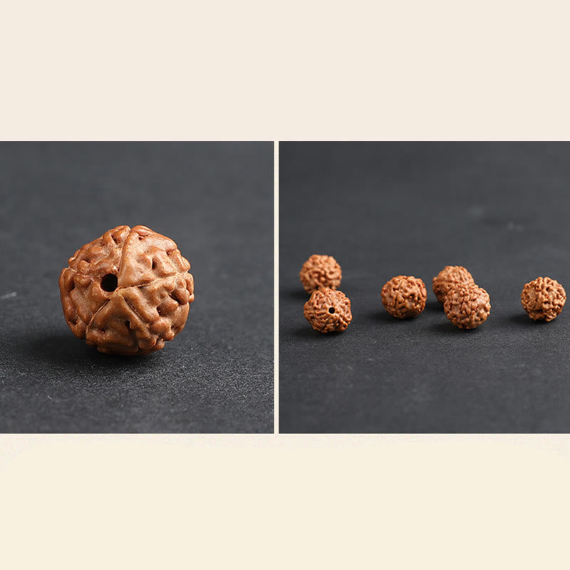 Buddha Stones Tybet Rudraksha Bodhi Seed PiXiu Miedziana Moneta Bogactwo Szczęście Bransoletka