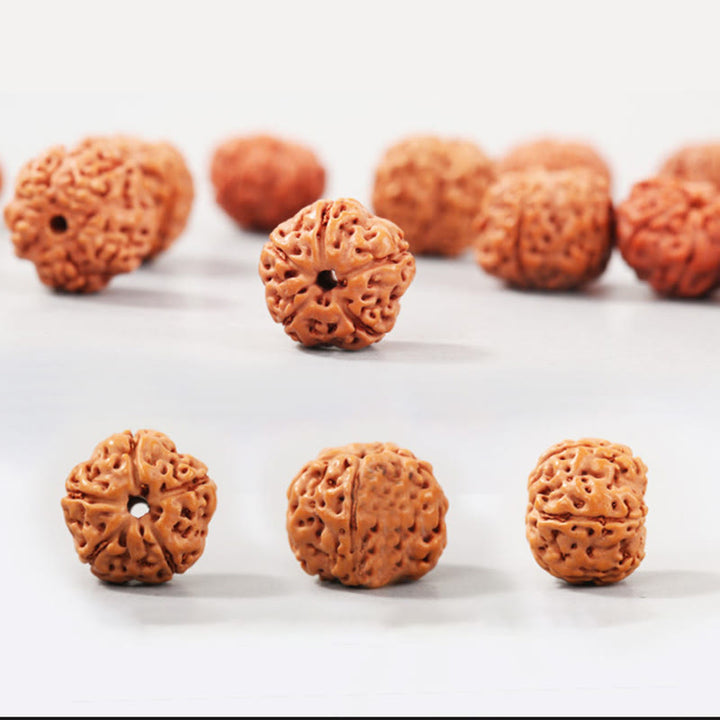 Buddha Stones Tybet Rudraksha Bodhi Seed Bransoletka Bogactwa Pomyślności