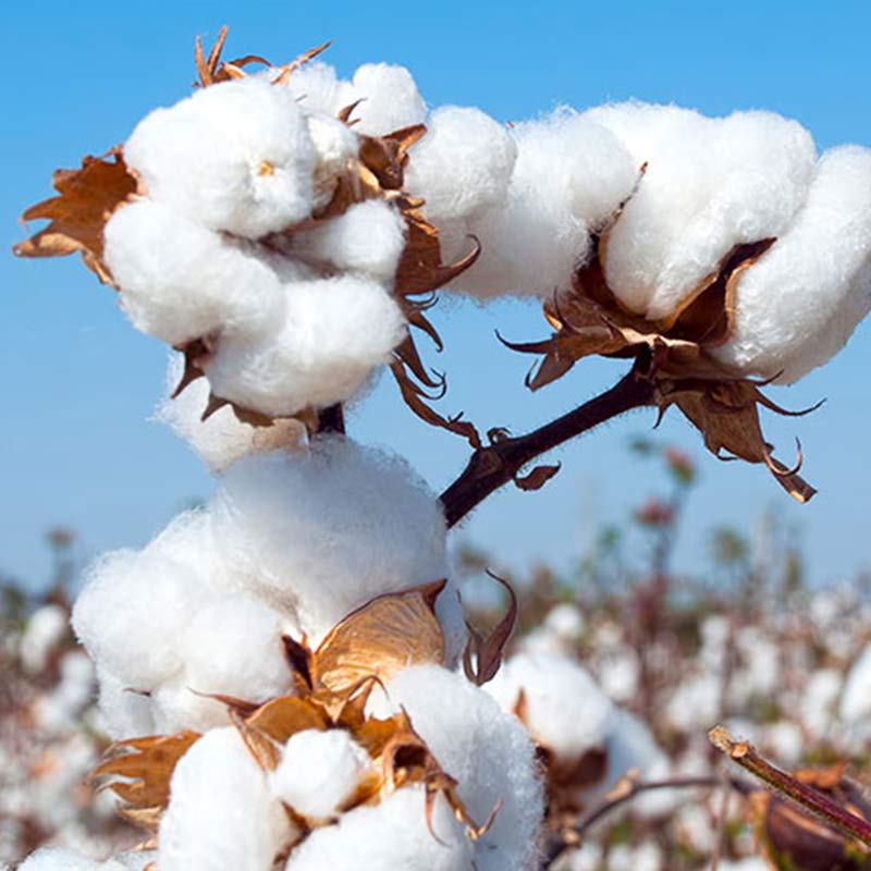 Buddha Stones Medytacja Zen Modlitwa Duchowa Tai Chi Qigong Praktyka Unisex Haft Odzież Zestaw - image 19