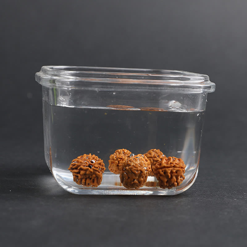 Buddha Stones Tybet Rudraksha Bodhi Seed PiXiu Miedziana Moneta Bogactwo Szczęście Bransoletka