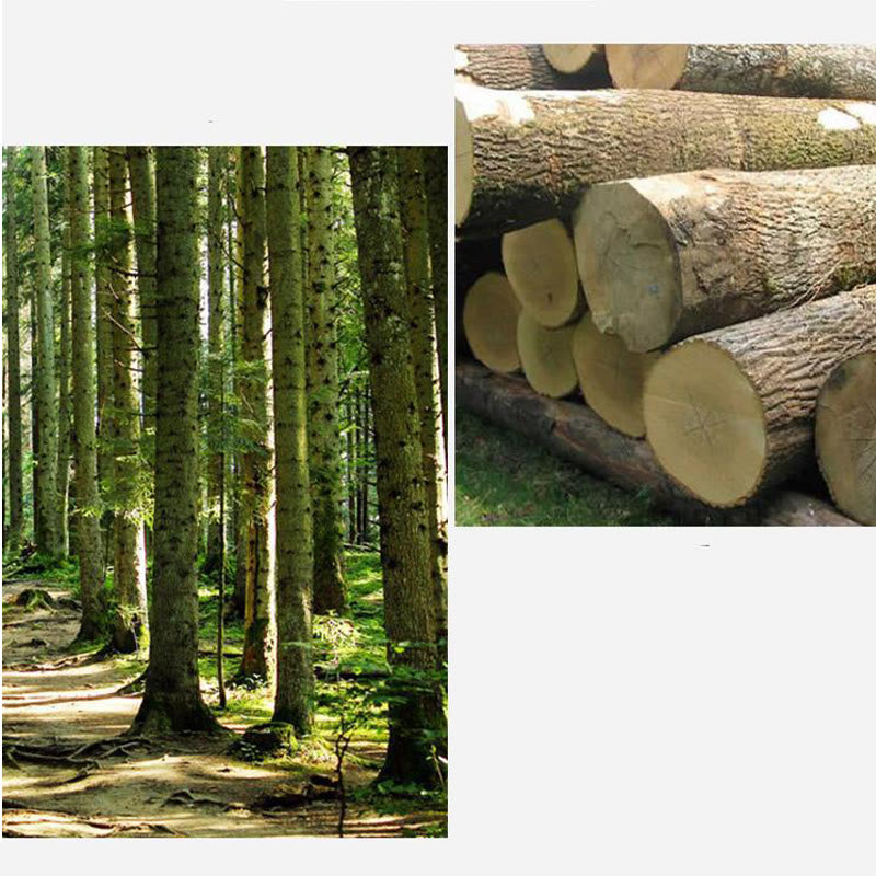 Buddha Stones ręcznie robione FengShui bogactwo szczęście żaba miniaturowa drewniana rechocząca żaba dekoracja Guiro