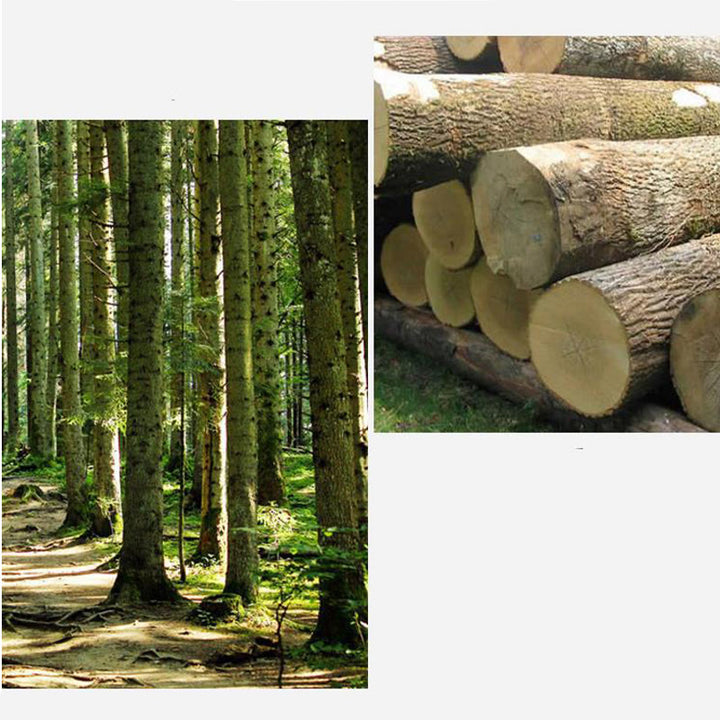 Buddha Stones ręcznie robione FengShui bogactwo szczęście żaba miniaturowa drewniana rechocząca żaba dekoracja Guiro