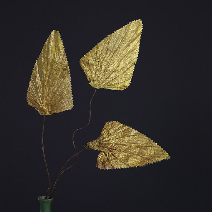 Naturalny suszony trójkątny bukiet z liści lotosu, ozdoby do dekoracji domu