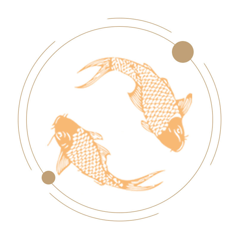 RYBY KOI