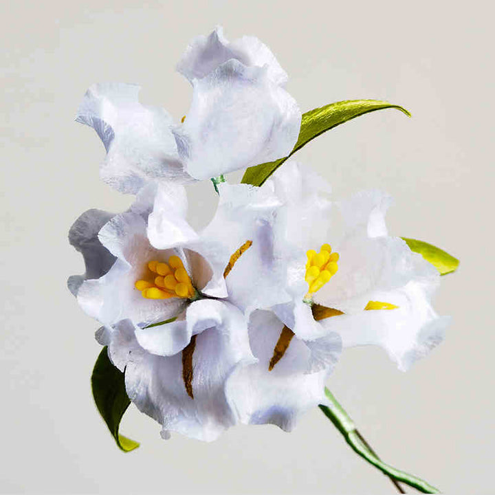 Buddha Stones Ręcznie Robione Aksamitne Kwiaty Morwy Jedwabiu Biały Kwiat Irysa Broszka