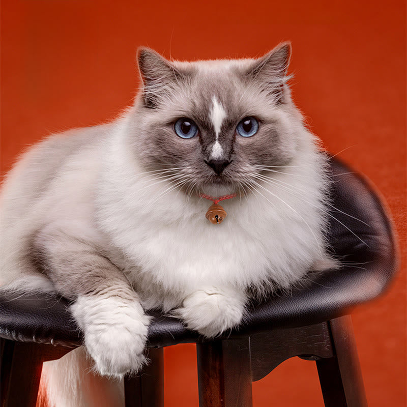 Buddha Stones, czerwony sznurek, koraliki z drewna brzoskwiniowego, dzwonek, siła, regulowana, obroża dla kotów i małych psów - image 12