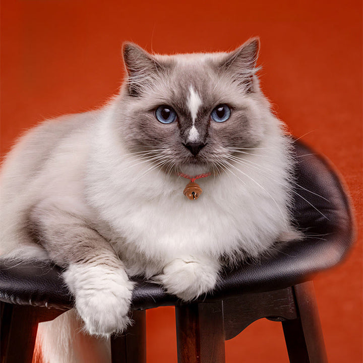 Buddha Stones, czerwony sznurek, koraliki z drewna brzoskwiniowego, dzwonek, siła, regulowana, obroża dla kotów i małych psów - image 12