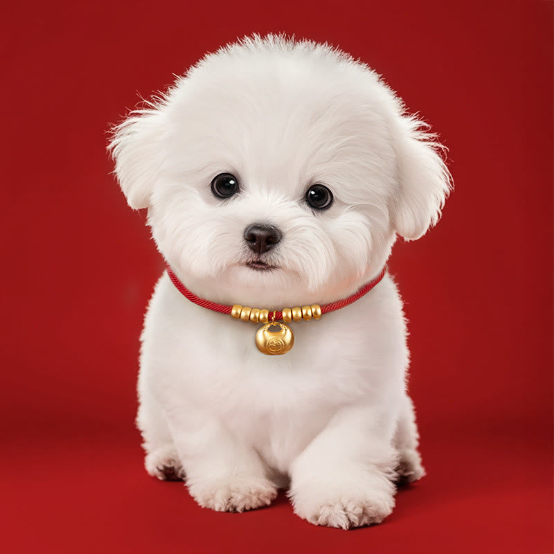 Buddha Stones, czerwony sznurek ochronny, regulowana obroża dla kotów i małych psów - image 3