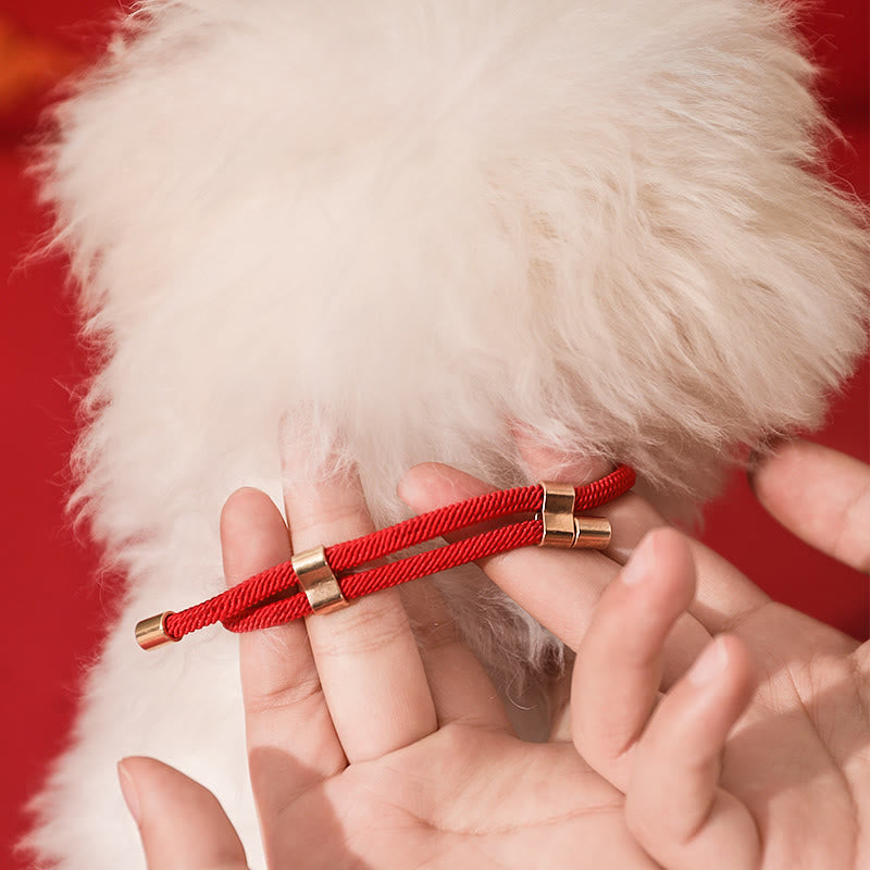 Wisiorek z Buddha Stones z metalu, czerwony sznurek, pokój, radość, błogosławieństwo, ochrona, regulowany, obroża dla kotów i małych psów - image 10