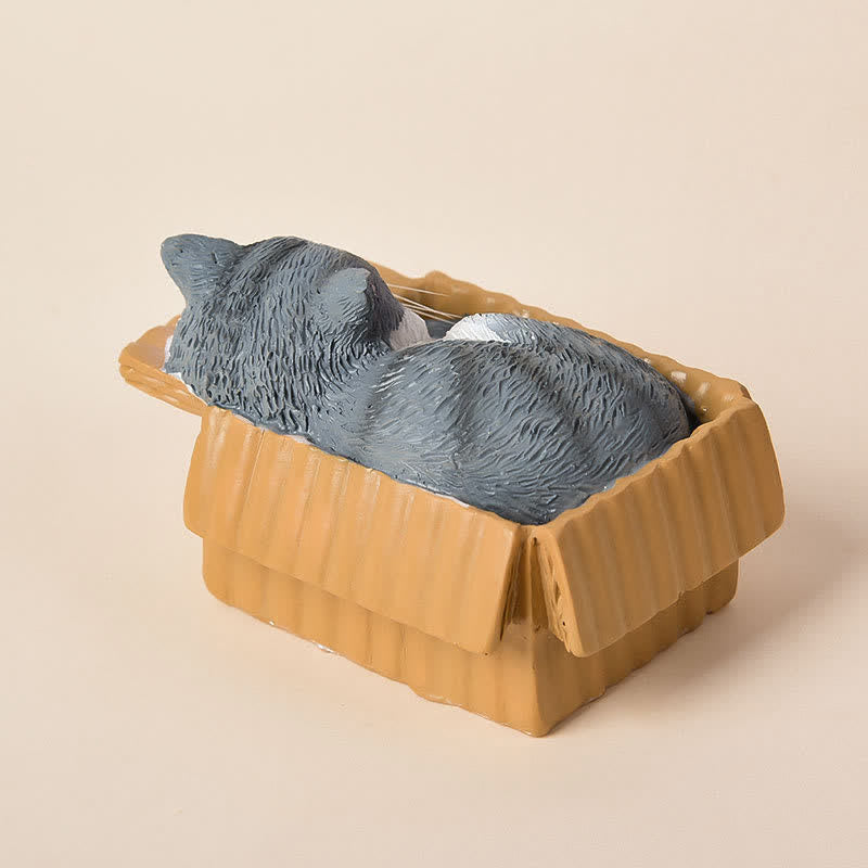 Buddha Stones Malowany śpiący kot w pudełku z papieru, żywica, urocze zwierzę - image 16