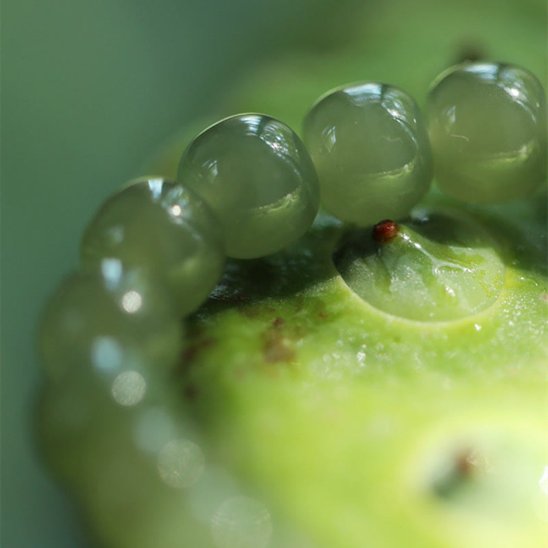 Regulowana bransoletka Jade Lotus Abundance