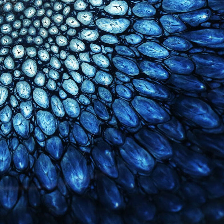 Buddha Stones ręcznie robione Niebieski Francolinus Spot Chiński Jianzhan Ceramiczny Filiżanka do herbaty Kung Fu Filiżanka do herbaty Miska - image 4