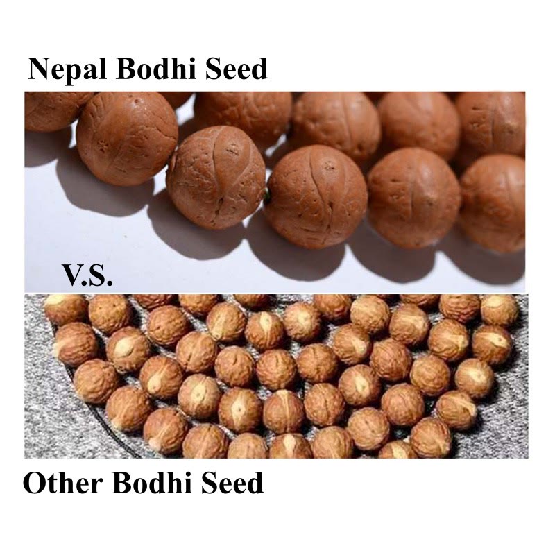 Buddha Stones 108 Mala Koraliki Nepal Bodhi Nasiona Szczęścia Bogactwo Bransoletka z frędzlami - image 12