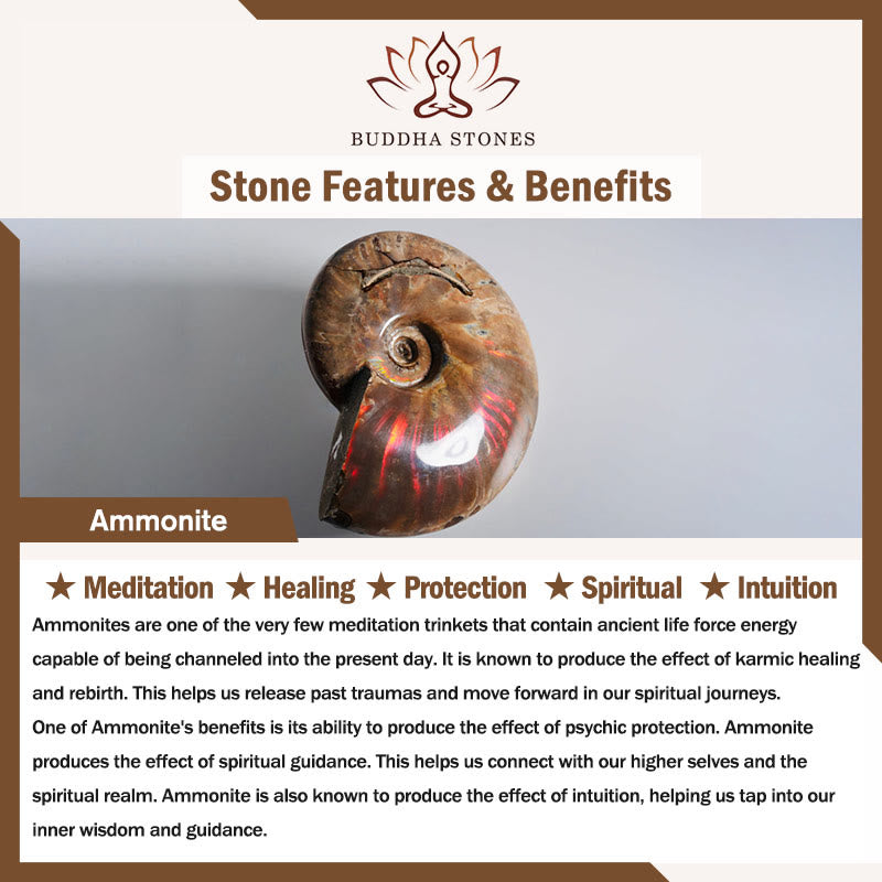 Buddha Stones Naturalny Amonit Skamieniały Ślimak Wzór Medytacja Uzdrawiający Naszyjnik Wisiorek