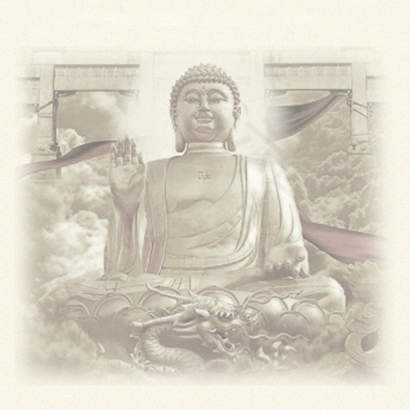 Buddha Stones Tathagata Budda Smok Jadeit Amulet Naszyjnik ze sznurka Spokój