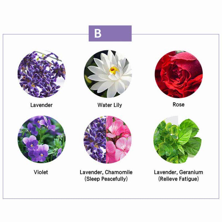 Buddha Stones 6 szt. Lawenda Pomarańcza Jaśmin Cytrynowa Trawa Uspokajający Aromaterapia Leczniczy Zestaw Olejków Eterycznych